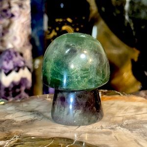 🔥SALE🔥 Rainbow Fluorite Crystal Mushroom Carving With Flash! Watch The Video!